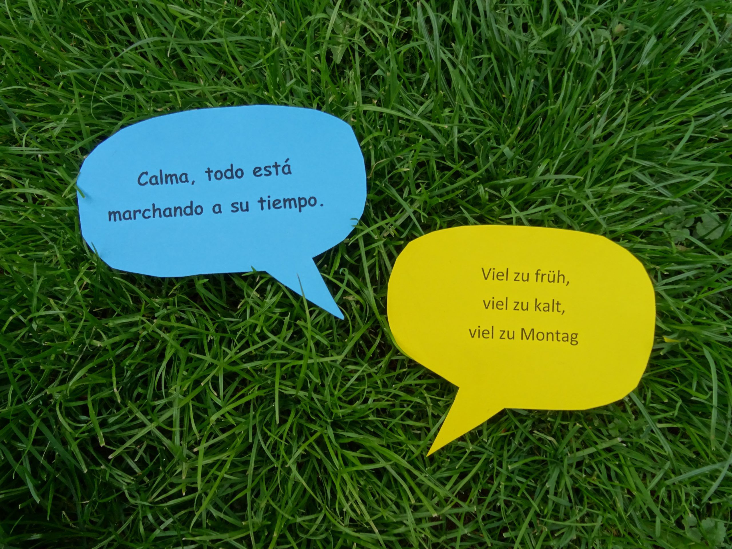 meine Leute deine Leute